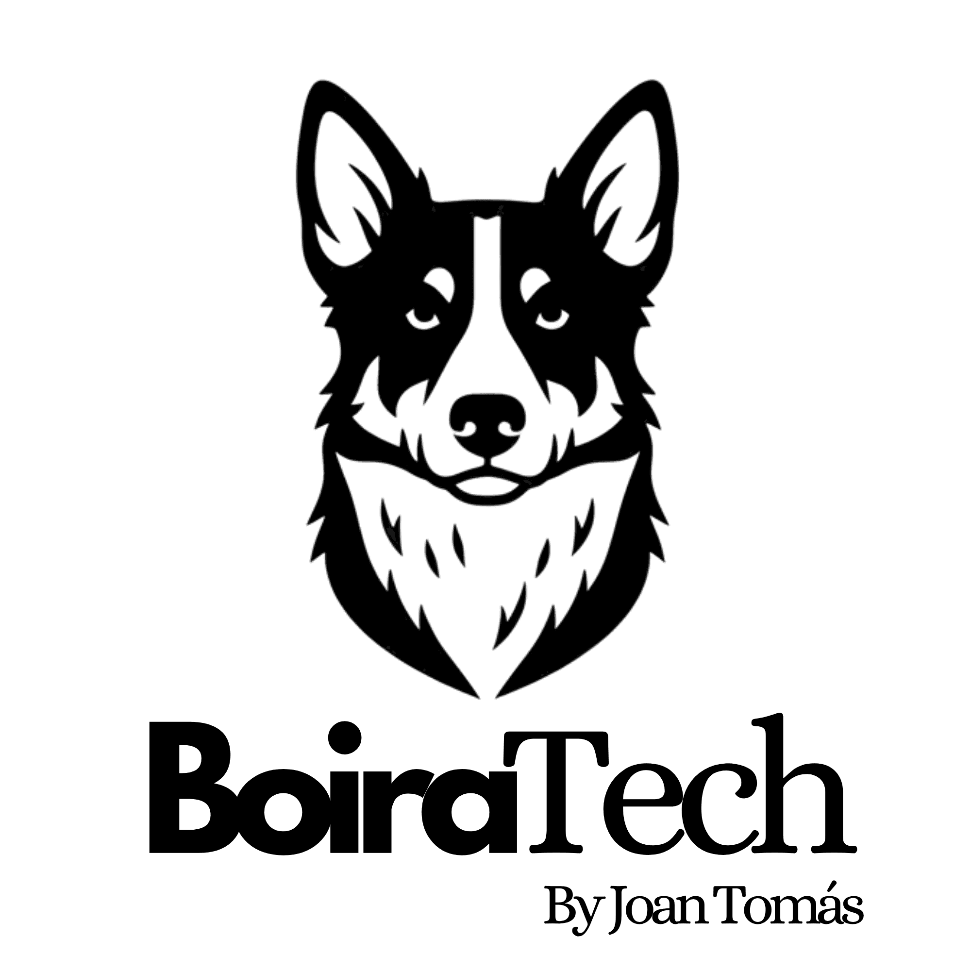 BoiraTech, by Joan Tomás